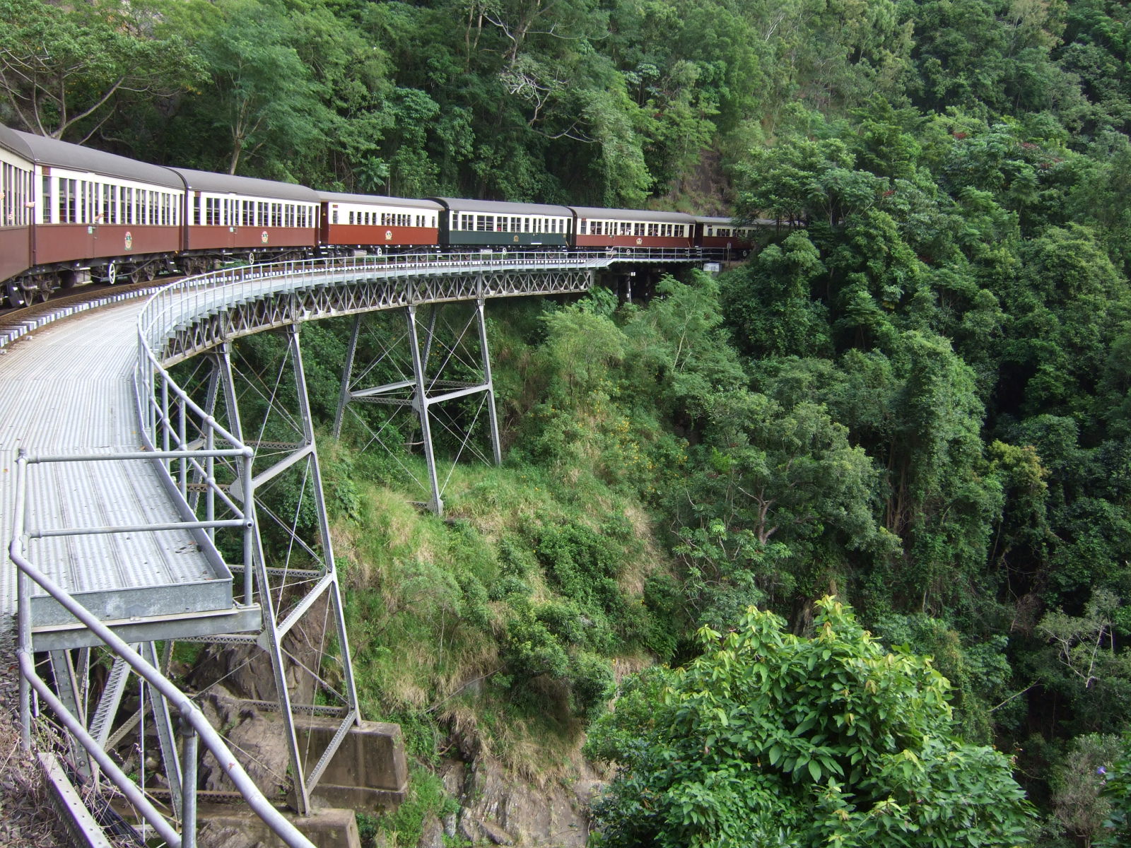 ケアンズからキュランダの一日旅行 ふじ ふじブログ